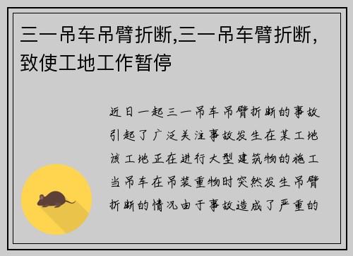 三一吊车吊臂折断,三一吊车臂折断，致使工地工作暂停