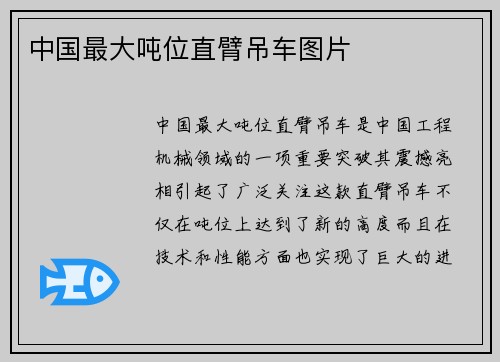 中国最大吨位直臂吊车图片