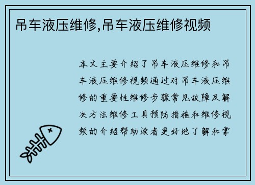 吊车液压维修,吊车液压维修视频