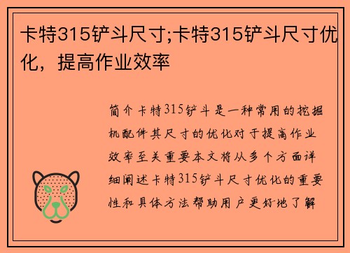 卡特315铲斗尺寸;卡特315铲斗尺寸优化，提高作业效率