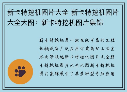 新卡特挖机图片大全 新卡特挖机图片大全大图：新卡特挖机图片集锦